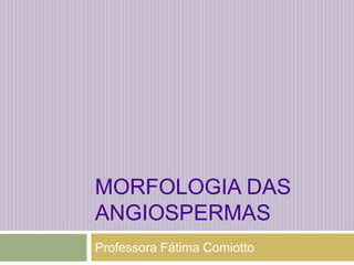 Morfologia das angiospermas Professora Fátima Comiotto 