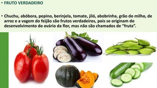 • FRUTO VERDADEIRO
• Chuchu, abóbora, pepino, berinjela, tomate, jiló, abobrinha, grão do milho, de
arroz e a vagem do feijão são frutos verdadeiros, pois se originam do
desenvolvimento do ovário da flor, mas não são chamados de “fruta”.
 