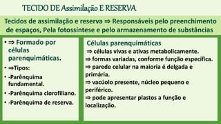 TECIDO DE Assimilação E RESERVA
• ⇒ Formado por
células
parenquimáticas.
• ⇒Tipos:
• -Parênquima
fundamental.
• -Parênquima clorofiliano.
• -Parênquima de reserva.
Tecidos de assimilação e reserva ⇒ Responsáveis pelo preenchimento
de espaços, Pela fotossíntese e pelo armazenamento de substâncias.
Células parenquimáticas
⇒ células vivas e ativas metabolicamente.
⇒ formas variadas, conforme função específica.
⇒ parede celular na maioria é delgada e
primária.
⇒ vacúolo presente, núcleo pequeno e
periférico.
⇒ pode apresentar plastos a função e
localização.
 