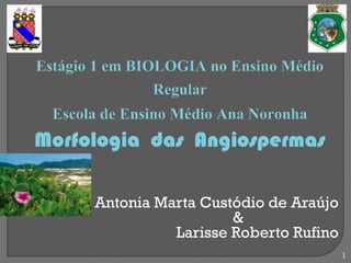 Antonia Marta Custódio de Araújo
&
Larisse Roberto Rufino
1
 
