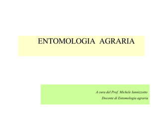 [object Object],A cura del Prof. Michele Iannizzotto Docente di Entomologia agraria 