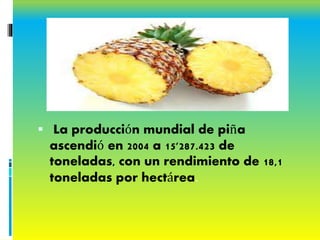 PRODUCCION MUNDAIL
 La producción mundial de piña
ascendió en 2004 a 15'287.423 de
toneladas, con un rendimiento de 18,1
toneladas por hectárea.
 