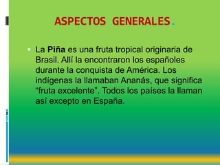 ASPECTOS GENERALES.
 La Piña es una fruta tropical originaria de
Brasil. Allí la encontraron los españoles
durante la conquista de América. Los
indígenas la llamaban Ananás, que significa
“fruta excelente”. Todos los países la llaman
así excepto en España.
 