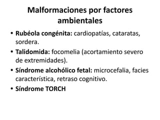 Morfología_de_las_malformaciones[1].pdf
