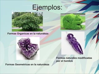 Ejemplos:


 Formas Organicas en la naturaleza




                                      Formas naturales modificadas 
                                      por el hombre
Formas Geometricas en la naturaleza
 