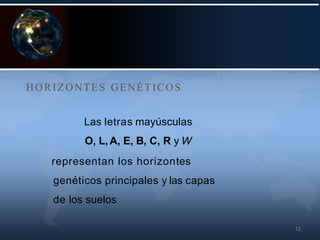 12
HORIZONTES GENÉTICOS
Las letras mayúsculas
O, L,A, E, B, C, R y W
representan los horizontes
genéticos principales y las capas
de los suelos.
 