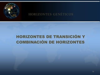 14
HORIZONTES GENÉTICOS
HORIZONTES DE TRANSICIÓN Y
COMBINACIÓN DE HORIZONTES
 