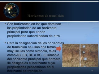 15
H orizontes de transición
• Son horizontes en los que dominan
las propiedades de un horizonte
principal pero que tienen
propiedades subordinadas de otro
• Para la designación de los horizontes
de transición se usan dos letras
mayúsculas como símbolo, tales
como AB, EB, BE o BC. El símbolo
del horizonte principal que primero
se designa es el horizonte cuya
propiedades predominan en el
horizonte de transición.
 