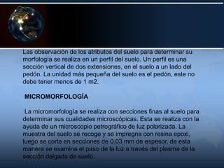 Las observación de los atributos del suelo para determinar su
morfología se realiza en un perfil del suelo. Un perfil es una
sección vertical de dos extensiones, en el suelo a un lado del
pedón. La unidad más pequeña del suelo es el pedón, este no
debe tener menos de 1 m2.
MICROMORFOLOGÍA
La micromorfología se realiza con secciones finas al suelo para
determinar sus cualidades microscópicas. Esta se realiza con la
ayuda de un microscopio petrográfico de luz polarizada. La
muestra del suelo se recoge y se impregna con resina epoxi,
luego se corta en secciones de 0.03 mm de espesor, de esta
manera se examina el paso de la luz a través del plasma de la
sección delgada de suelo.
 
