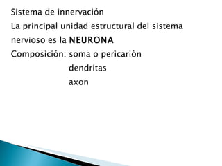 Sistema de innervación La principal unidad estructural del sistema nervioso es la  NEURONA Composición: soma o pericariòn  dendritas axon 