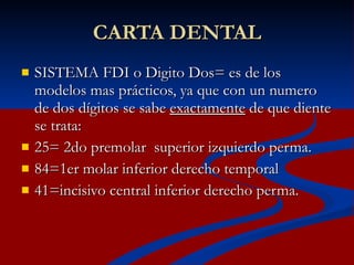 Fdi Temporal Morfologia dental2 | PPT