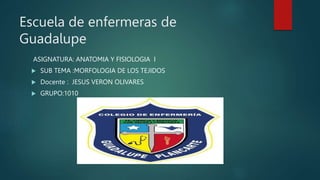 Escuela de enfermeras de
Guadalupe
ASIGNATURA: ANATOMIA Y FISIOLOGIA I
 SUB TEMA :MORFOLOGIA DE LOS TEJIDOS
 Docente : JESUS VERON OLIVARES
 GRUPO:1010
 