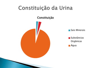 Constituição

Sais Minerais
Substâncias
Orgânicas
Água

 