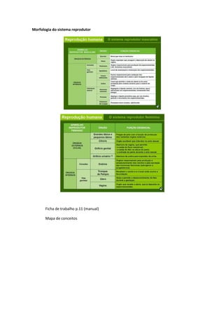 Morfologia do sistema reprodutor

Ficha de trabalho p.11 (manual)
Mapa de conceitos

 