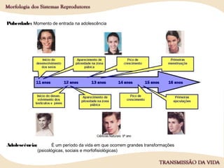 Puberdade: Momento de entrada na adolescência
Adolescência: É um período da vida em que ocorrem grandes transformações
(psicológicas, sociais e morfofisiológicas)
 