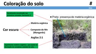 8
Slide
Coloração do solo
Cor escura
Matéria orgânica
Composto de Mn
(Manganês)
Argilas 2:1
Geralmente encontrado nas
primeiras camadas: Horizonte O
Suprimento matéria orgânica , que ajuda na
formação do complexo coloidal do solo.
 