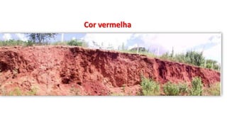 Cor vermelha
 