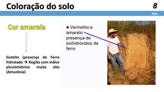 8
Slide
Coloração do solo
Geotita (presença de Ferro
hidratado  Região com índice
pluviométrico muito alto
(Amazônia)
 