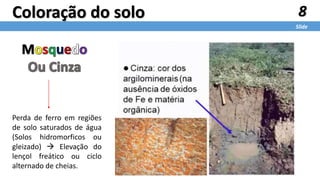 8
Slide
Coloração do solo
Perda de ferro em regiões
de solo saturados de água
(Solos hidromorficos ou
gleizado)  Elevação do
lençol freático ou ciclo
alternado de cheias.
 