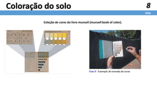 8
Slide
Coloração do solo
Coleção de cores do livro munsell (munsell book of color).
 