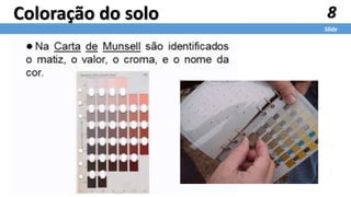 8
Slide
Coloração do solo
 