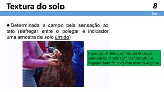 8
Slide
Textura do solo
Aspereza  Solo com textura Arenosa.
Sedosidade Solo com textura Siltioso
Pegajosidade  Solo com textura Argilosa
 