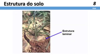 8
Slide
Estrutura do solo
 