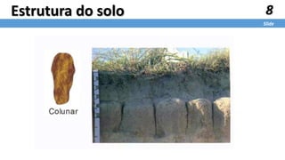8
Slide
Estrutura do solo
 