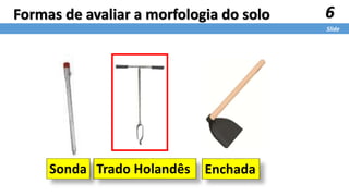 Sonda Trado Holandês Enchada
6
Slide
Formas de avaliar a morfologia do solo
 