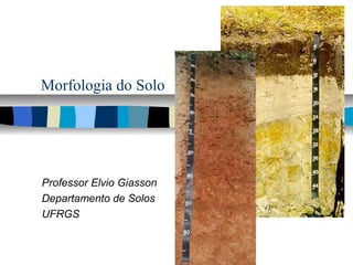 Morfologia do Solo
Professor Elvio Giasson
Departamento de Solos
UFRGS
 