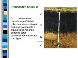 HORIZONTES DO SOLO
O Horizonte ou
camada superficial de
cobertura, de constituição
orgânica, sobreposto a
alguns solos minerais,
podendo estar
ocasionalmente saturado
com água.
AA
BiBi
CC
OO
 