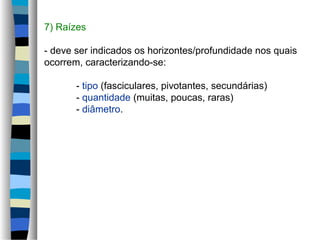 7) Raízes
- deve ser indicados os horizontes/profundidade nos quais
ocorrem, caracterizando-se:
- tipo (fasciculares, pivotantes, secundárias)
- quantidade (muitas, poucas, raras)
- diâmetro.
 