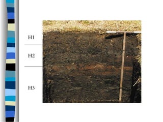 H1H1
H2H2
H3H3
 