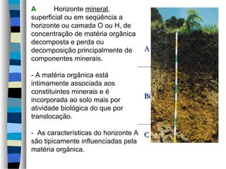 A Horizonte mineral,
superficial ou em seqüência a
horizonte ou camada O ou H, de
concentração de matéria orgânica
decomposta e perda ou
decomposição principalmente de
componentes minerais.
- A matéria orgânica está
intimamente associada aos
constituintes minerais e é
incorporada ao solo mais por
atividade biológica do que por
translocação.
- As características do horizonte A
são tipicamente influenciadas pela
matéria orgânica.
AA
BiBi
CC
 