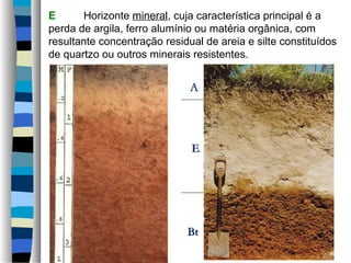 E Horizonte mineral, cuja característica principal é a
perda de argila, ferro alumínio ou matéria orgânica, com
resultante concentração residual de areia e silte constituídos
de quartzo ou outros minerais resistentes.
AA
EE
BtBt
 