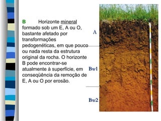 B Horizonte mineral
formado sob um E, A ou O,
bastante afetado por
transformações
pedogenéticas, em que pouco
ou nada resta da estrutura
original da rocha. O horizonte
B pode encontrar-se
atualmente à superfície, em
conseqüência da remoção de
E, A ou O por erosão.
AA
Bw1Bw1
Bw2Bw2
 