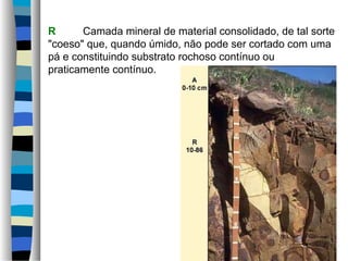 R Camada mineral de material consolidado, de tal sorte
"coeso" que, quando úmido, não pode ser cortado com uma
pá e constituindo substrato rochoso contínuo ou
praticamente contínuo.
 