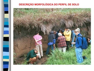 DESCRIÇÃO MORFOLÓGICA DO PERFIL DE SOLO
 
