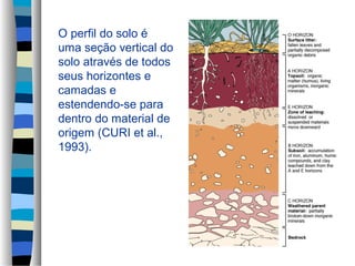 O perfil do solo é
uma seção vertical do
solo através de todos
seus horizontes e
camadas e
estendendo-se para
dentro do material de
origem (CURI et al.,
1993).
 