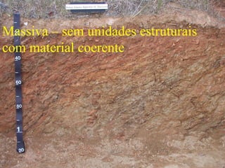 Massiva – sem unidades estruturais
com material coerente
 