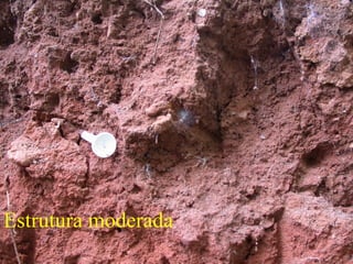 Estrutura moderada
 