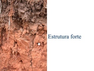 Estrutura forte
 