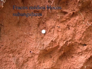 Fracos médios blocos
subangulares
 