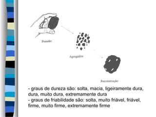 - graus de dureza são: solta, macia, ligeiramente dura,
dura, muito dura, extremamente dura
- graus de friabilidade são: solta, muito friável, friável,
firme, muito firme, extremamente firme
 