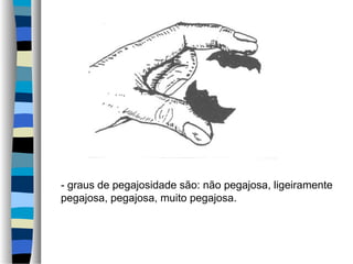 - graus de pegajosidade são: não pegajosa, ligeiramente
pegajosa, pegajosa, muito pegajosa.
 