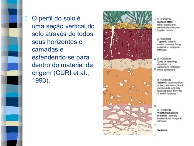 Morfologia do solo