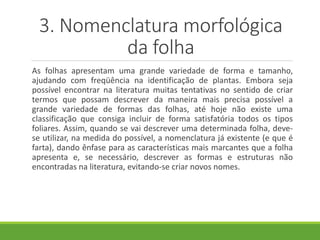 3. Nomenclatura morfológica 
da folha 
As folhas apresentam uma grande variedade de forma e tamanho, 
ajudando com freqüência na identificação de plantas. Embora seja 
possível encontrar na literatura muitas tentativas no sentido de criar 
termos que possam descrever da maneira mais precisa possível a 
grande variedade de formas das folhas, até hoje não existe uma 
classificação que consiga incluir de forma satisfatória todos os tipos 
foliares. Assim, quando se vai descrever uma determinada folha, deve-se 
utilizar, na medida do possível, a nomenclatura já existente (e que é 
farta), dando ênfase para as características mais marcantes que a folha 
apresenta e, se necessário, descrever as formas e estruturas não 
encontradas na literatura, evitando-se criar novos nomes. 
 