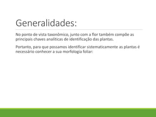 Generalidades: 
No ponto de vista taxonômico, junto com a flor também compõe as 
principais chaves analíticas de identificação das plantas. 
Portanto, para que possamos identificar sistematicamente as plantas é 
necessário conhecer a sua morfologia foliar: 
 
