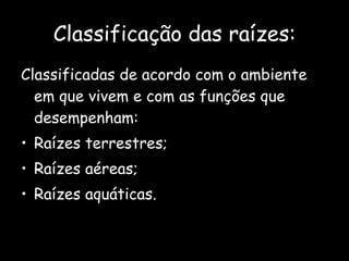 Classificação das raízes: Classificadas de acordo com o ambiente em que vivem e com as funções que desempenham: Raízes terrestres; Raízes aéreas; Raízes aquáticas. 