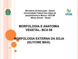 MORFOLOGIA E ANATOMIA
VEGETAL- BCA 08
MORFOLOGIA EXTERNA DA SOJA
(GLYCINE MAX).
Ministério da Educação – Brasil
Universidade Federal dos Vales do
Jequitinhonha e Mucuri -UFVJM
Minas Gerais – Brasil
 